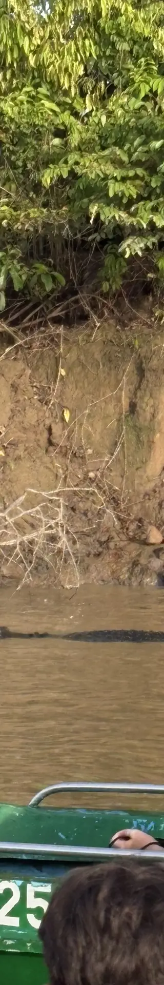 Sandakan und Kinabatangan River – Begegnungen am Fluss